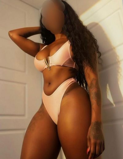 Kamy aus Brasilien